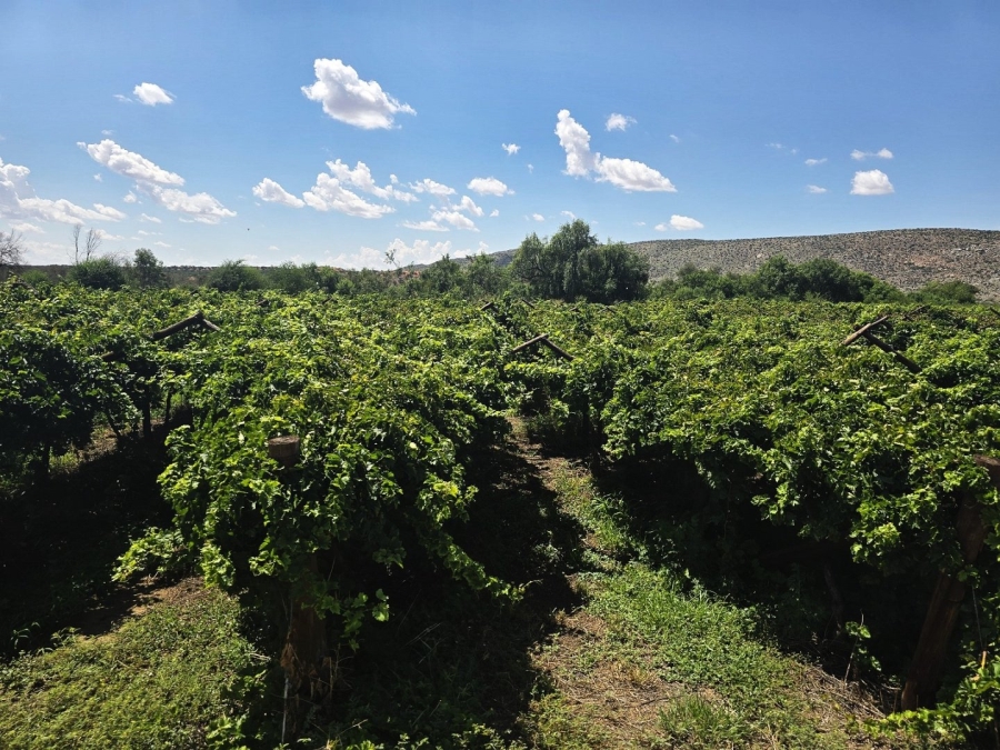 Commercial Property for Sale in Groblershoop Northern Cape